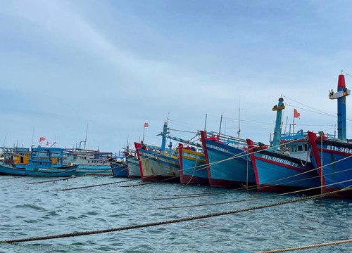 [Podcast] Tin tức ngày 5-8: Bão số 3 mạnh lên, chưa ảnh hưởng đến đất liền