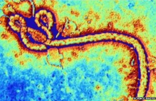 Dừng thử nghiệm vắc-xin Ebola vì phản ứng phụ