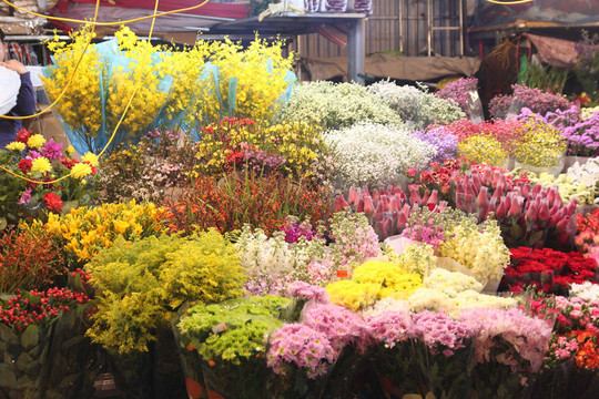 Nhộn nhịp chợ hoa đêm Quảng An phục vụ ngày lễ tình nhân