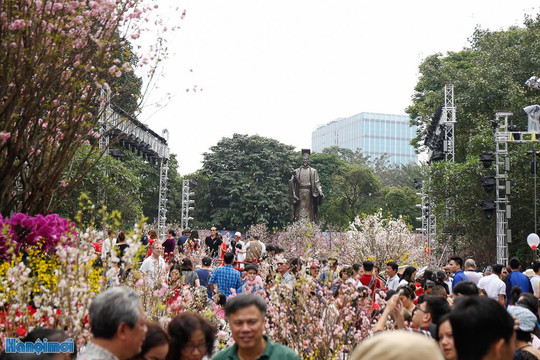Hàng nghìn người đổ về Lễ hội hoa anh đào Nhật Bản - Hà Nội 2019