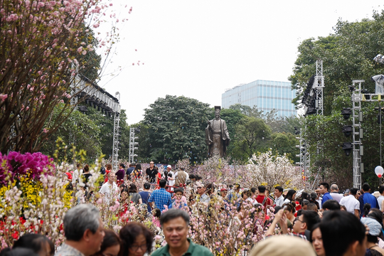 Lễ hội hoa anh đào 2019 kéo dài thêm 1 ngày