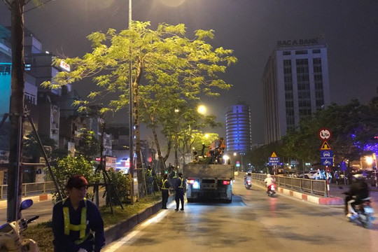 Công ty Công viên cây xanh Hà Nội thông tin về việc chặt cây trên một số tuyến phố