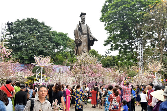 Trao Bằng xác lập kỷ lục Việt Nam cho lễ hội hoa anh đào Nhật Bản - Hà Nội năm 2019