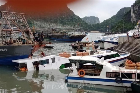 Chìm tàu chở khách du lịch tuyến Vân Đồn - Cô Tô