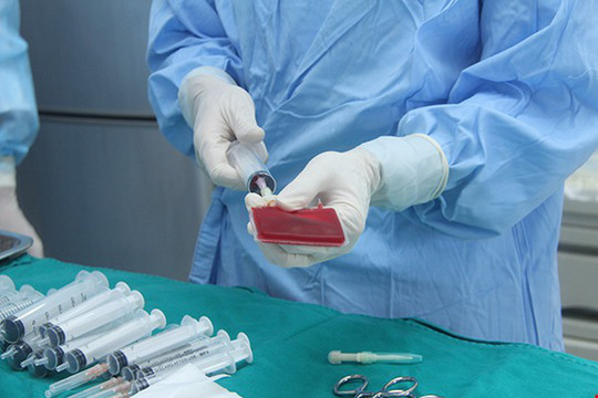 Thực hiện hơn 750 ca ghép tế bào gốc điều trị bệnh máu thành công