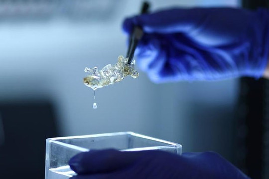 Đức tạo ra các bộ phận cơ thể người từ công nghệ in 3D để ghép tạng