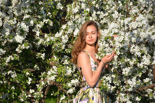 Mùa hoa táo Kolomenskoye –“đặc sản” đầu hè ở Moscow