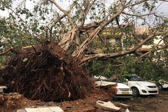 Ấn Độ: Siêu bão Fani khiến gần 130 người thương vong