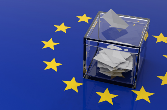 Bầu cử Nghị viện châu Âu bước vào ngày cuối