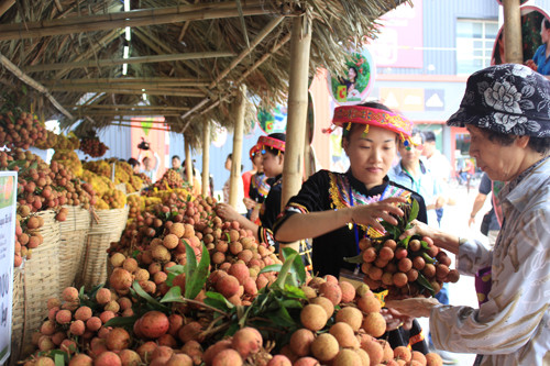 Khai mạc Tuần lễ vải thiều Lục Ngạn tại Hà Nội