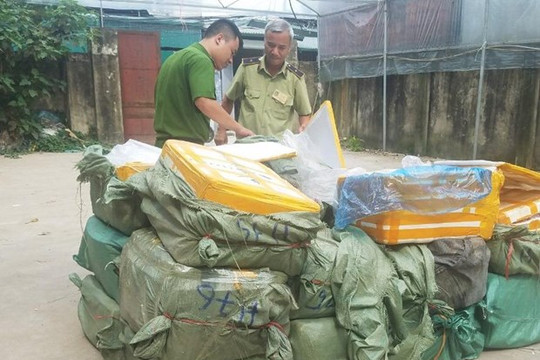 Tạm giữ 1.350 kg nầm lợn không hóa đơn chứng từ trên địa bàn Hà Nội