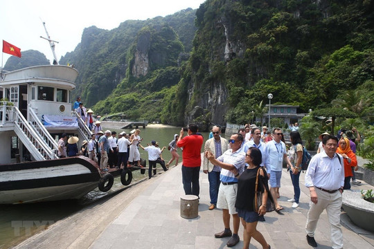 Quảng Ninh dừng cấp phép các tàu chở khách ra biển từ 11h ngày 3-7