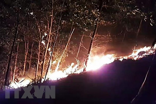 Quảng Trị: Hơn 300 chiến sĩ và người dân chữa cháy rừng trong đêm
