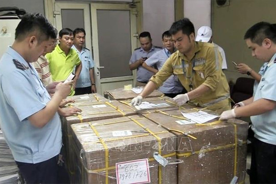 Phát hiện hơn 125 kg sừng tê giác vận chuyển qua cửa khẩu sân bay quốc tế Nội Bài