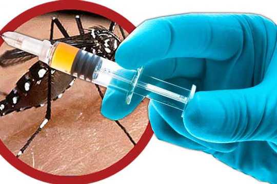 Việt Nam sắp có vắc xin phòng bệnh  sốt xuất huyết