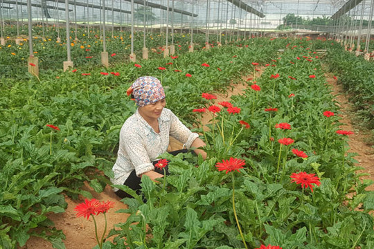 “Thuận” cho quản lý, “lợi” cho phát triển kinh tế