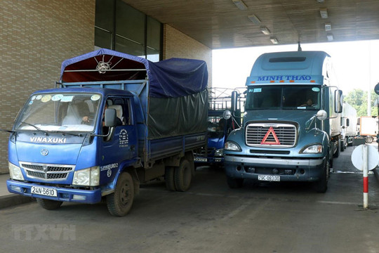 Đã thông quan được 50% số xe chở thanh long ở cửa khẩu quốc tế Lào Cai