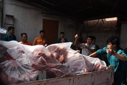 Hai container thịt lợn nhiễm bệnh tại cơ sở làm giò chả
