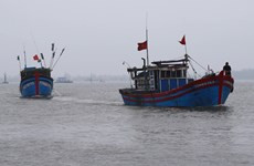 Bình Thuận khẩn trương tìm kiếm ngư dân mất tích trên biển