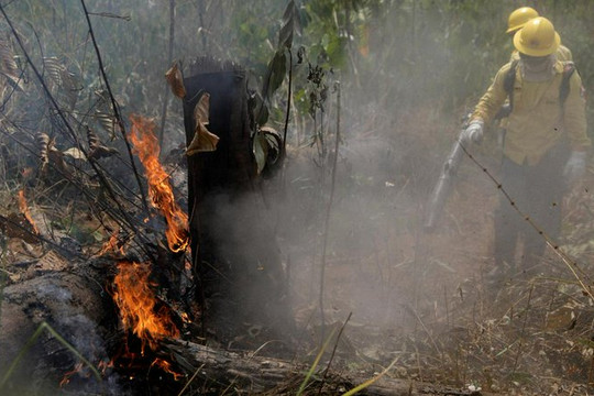 Brazil từ chối khoản hỗ trợ của G7 để chữa cháy rừng Amazon
