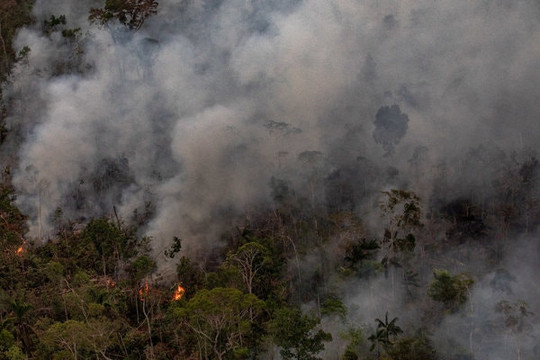 Brazil nêu điều kiện nhận viện trợ nước ngoài để cứu rừng Amazon
