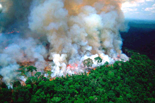 Brazil cân nhắc các đề nghị hỗ trợ dập tắt cháy rừng Amazon