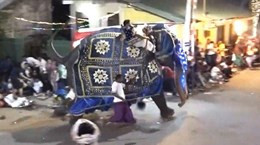 Kinh hoàng khoảnh khắc voi điên lao vào đám đông ở Sri Lanka