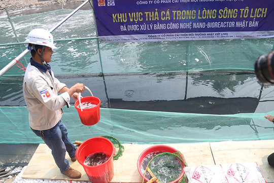 Thả cá Koi tại khu vực thí điểm công nghệ xử lý nước trên sông Tô Lịch và hồ Tây