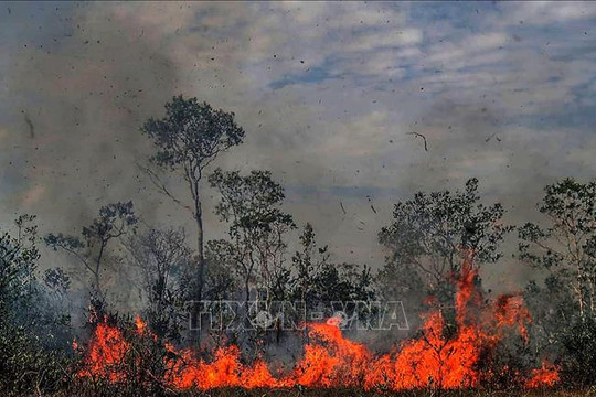 Rừng Amazon vẫn cháy âm ỉ