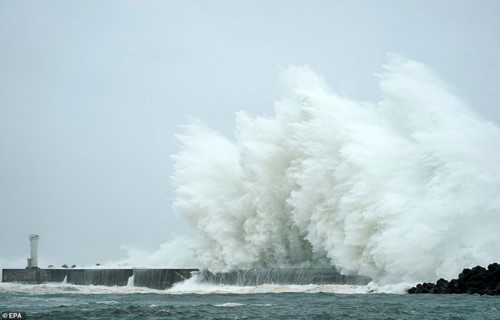 Hơn 100 người thương vong do siêu bão Hagibis tại Nhật Bản