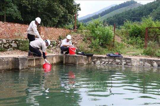 Thủ tướng chỉ đạo xử lý vấn đề ô nhiễm nguồn nước sạch sông Đà