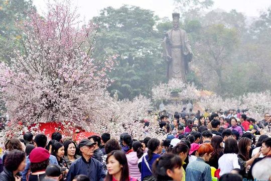 Lễ hội hoa anh đào Nhật Bản - Hà Nội 2020 tổ chức vào tháng 3-2020