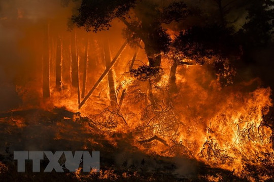 Mỹ: Xuất hiện đám cháy rừng mới và khó kiểm soát tại bang California