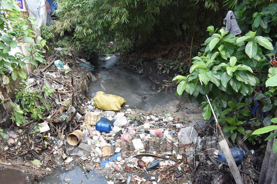 Tiêu chí công nhận địa bàn không xả rác tại thành phố Hồ Chí Minh