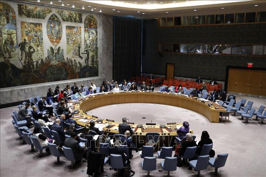 Hội đồng Bảo an Liên hợp quốc tái khẳng định ủng hộ Công ước cấm vũ khí hóa học