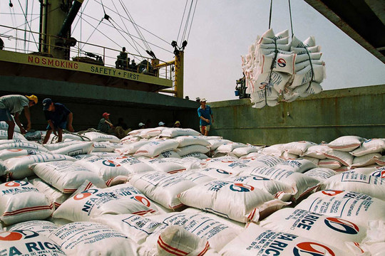 Hạt gạo Việt - Hành trình vươn xa