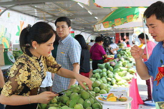 300 gian hàng quy tụ tại Festival sản phẩm nông nghiệp và làng nghề Hà Nội