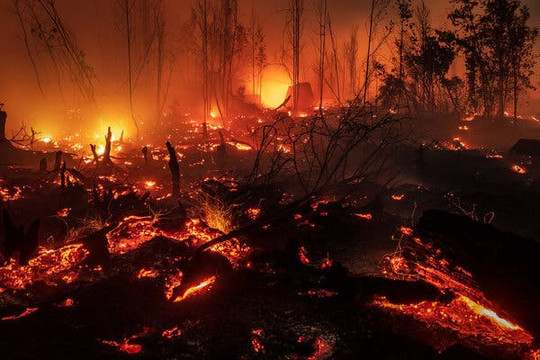 Indonesia thiệt hại 5,2 tỷ USD vì cháy rừng