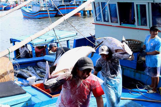 Kiên quyết chấm dứt tình trạng khai thác hải sản bất hợp pháp
