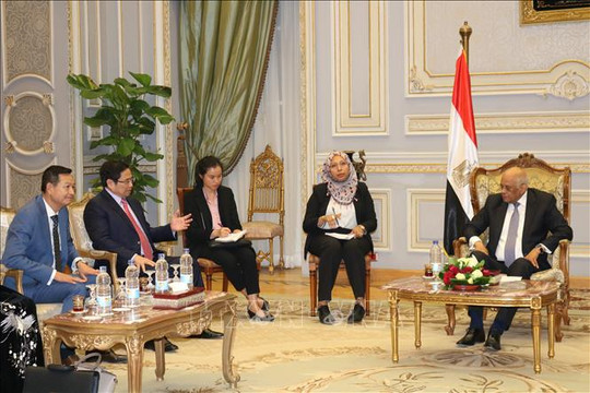 Ai Cập ủng hộ lập trường của Việt Nam về vấn đề Biển Đông