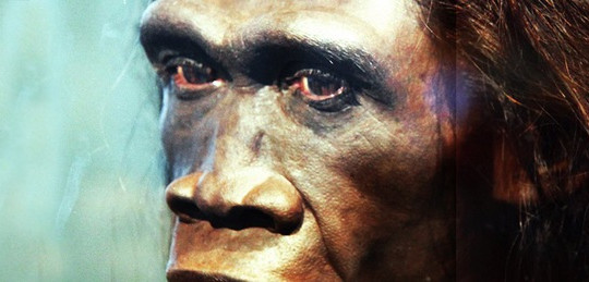 Bằng chứng mới cho thấy tổ tiên của loài người đã chết một cách bí ẩn 117.000 năm trước