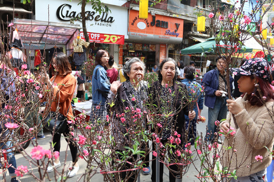 Hà Nội cấm đường 5 tuyến phố cổ để tổ chức Chợ hoa Xuân 2020