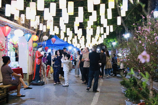 Khai mạc chợ hoa Tết Hàng Lược và các hoạt động tại phố bích họa Phùng Hưng