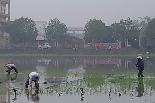 Gần 40% diện tích của Hà Nội có đủ nước sản xuất