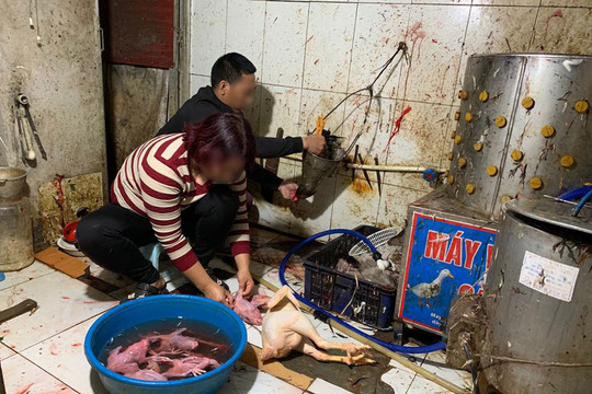 Mất vệ sinh, ATTP tại các chợ trên địa bàn Hà Nội: Tiếp tục chấn chỉnh, khắc phục kịp thời
