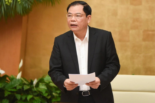 Bộ trưởng Nguyễn Xuân Cường nói gì về việc "giải cứu" dưa hấu, tôm hùm?