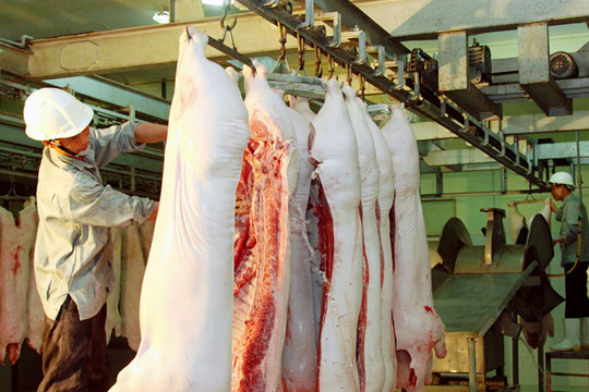 Cả nước đã nhập khẩu 65.865 tấn thịt gia súc, gia cầm