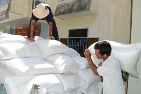Thủ tướng chỉ đạo xuất cấp hỗ trợ 2 tỉnh Đắk Nông và Đắk Lắk hơn 1.162 tấn gạo