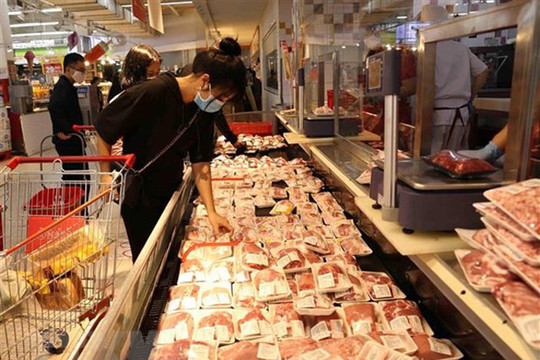 Nhập khẩu thịt lợn tăng hơn 300% so với cùng kỳ năm 2019