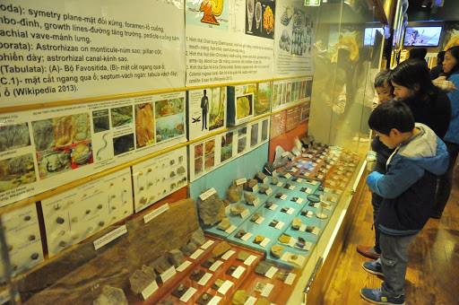 Hà Nội phê duyệt nhiệm vụ quy hoạch Bảo tàng Thiên nhiên Việt Nam rộng hơn 38ha